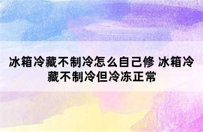 冰箱冷藏不制冷怎么自己修 冰箱冷藏不制冷但冷冻正常